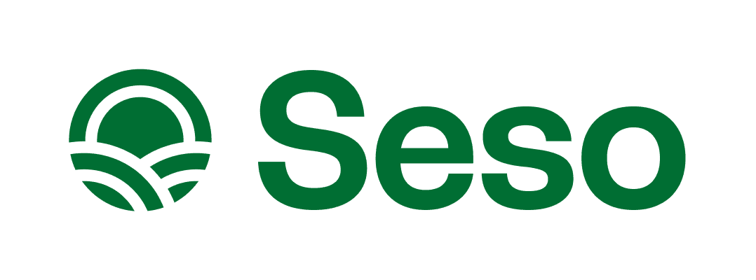 Seso logo'